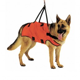Harnais de transport pour chien Taxi Dog Alp Design