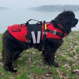 , Harnais flottant pour chien Delphinus Kong Alp Design, ALP DESIGN, Croque Montagne