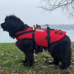 , Harnais flottant pour chien Delphinus Kong Alp Design, ALP DESIGN, Croque Montagne