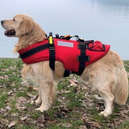 , Harnais flottant pour chien Delphinus Kong Alp Design, ALP DESIGN, Croque Montagne