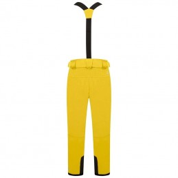 Salopette de ski imperméable Achieve II homme Dare 2B