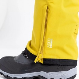 Salopette de ski imperméable Achieve II homme Dare 2B