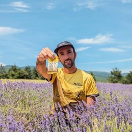 Purée salée cajou Meltonic, Purée salée cajou Meltonic, Meltonic, Croque Montagne