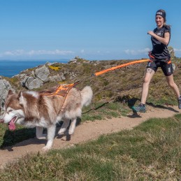 Harnais Canicross X-Back One I-Dog, Harnais Canicross X-Back One I-Dog, I-DOG, Croque Montagne