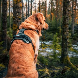 Harnais cani-marche Style Upka I-Dog, Harnais cani-marche Style Upka I-Dog, I-DOG, Croque Montagne