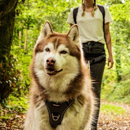 Harnais cani-marche Style Upka I-Dog, Harnais cani-marche Style Upka I-Dog, I-DOG, Croque Montagne