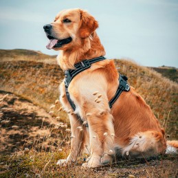 Harnais cani-marche Style Upka I-Dog, Harnais cani-marche Style Upka I-Dog, I-DOG, Croque Montagne