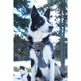 Harnais cani-marche Style Upka I-Dog, Harnais cani-marche Style Upka I-Dog, I-DOG, Croque Montagne