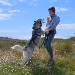 Longe de traction Style Upka I-Dog, Longe de traction Style Upka I-Dog, I-DOG, Croque Montagne