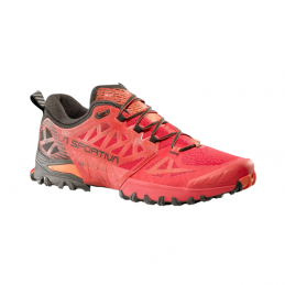 Chaussures de trail Bushido III Gtx La Sportiva
